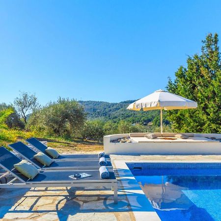 Villa Levanda Panormos  外观 照片