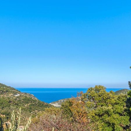 Villa Levanda Panormos  外观 照片